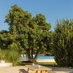 Clive With Trullo Matto * אוסטוני