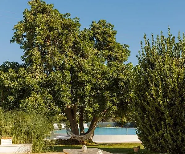Clive With Trullo Matto * Остуни
